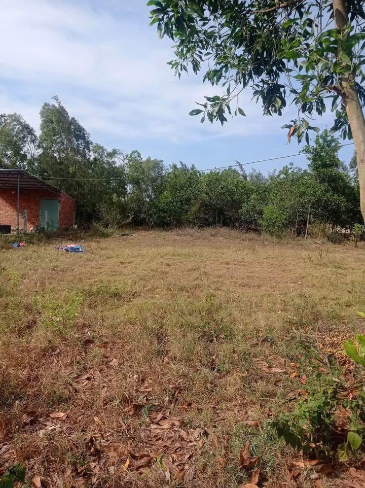 Bán đất thôn Lộc Đông, xã Tam Tiến, Núi Thành 1.314m² giá 6.8 tỷ - Địa thế 3 mặt tiền siêu đẹp!