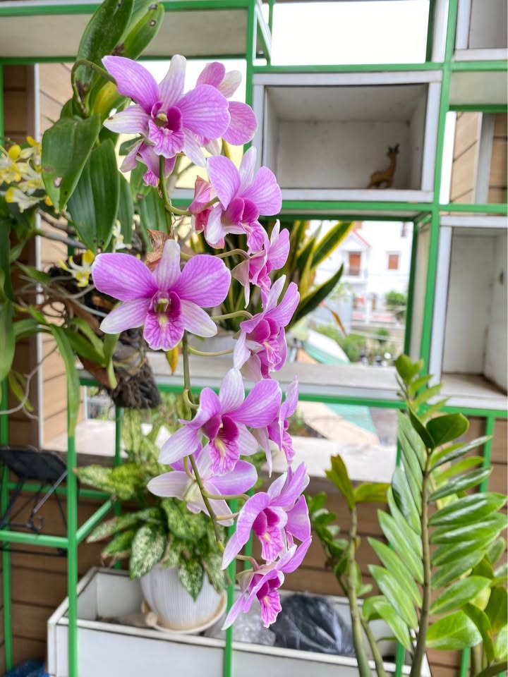 Đất thổ cư 3 mặt tiền thôn Lộc Đông, xã Tam Tiến, 1.314m² giá 6.8 tỷ - Đầu tư sinh lời hấp dẫn!