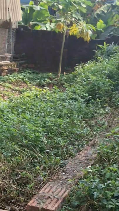 Đất nền Kim Sơn, Gia Lâm 43m² giá 2 tỷ - Sổ đỏ chính chủ sang tên ngay!