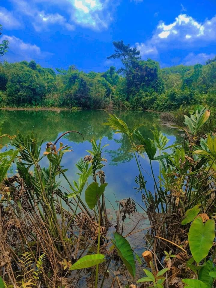 Đất nền Hà Phú, Phú Riềng 1000m² giá 500 triệu - Cơ hội đầu tư tuyệt vời!