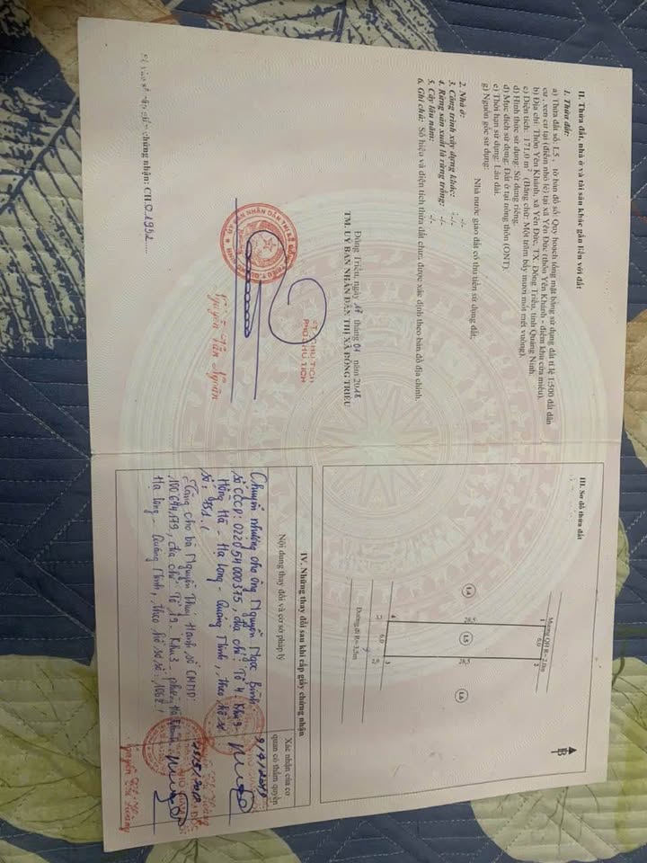 Đất nền Yên Khánh Đông Triều 171m² giá chỉ 900 triệu - Đầu tư sinh lời ngay!