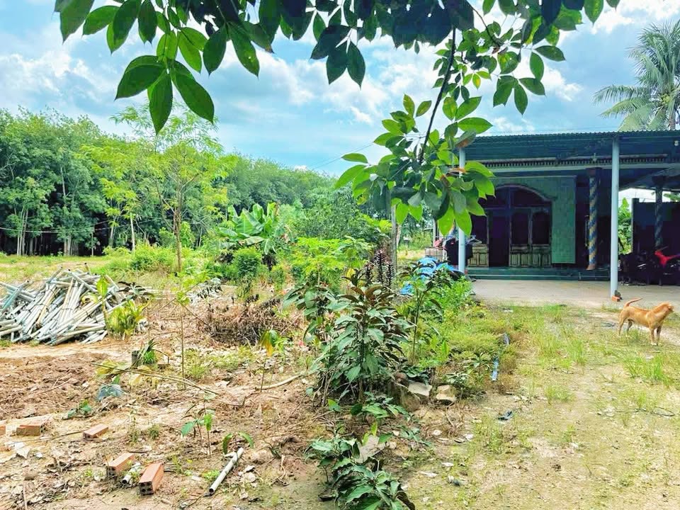 Đất thổ cư 600m² Xã Minh Thạnh, Dầu Tiếng 10.300m² - Sổ đỏ chính chủ, giá 6.18 tỷ!