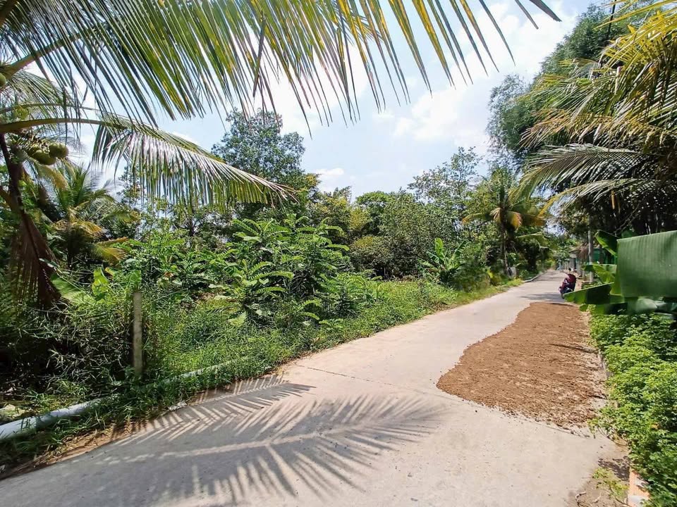 Đất thổ cư mặt tiền đường Cặp rạch Khoán Châu, quận Bình Thủy, 50m² - Pháp lý rõ ràng, giá tốt!