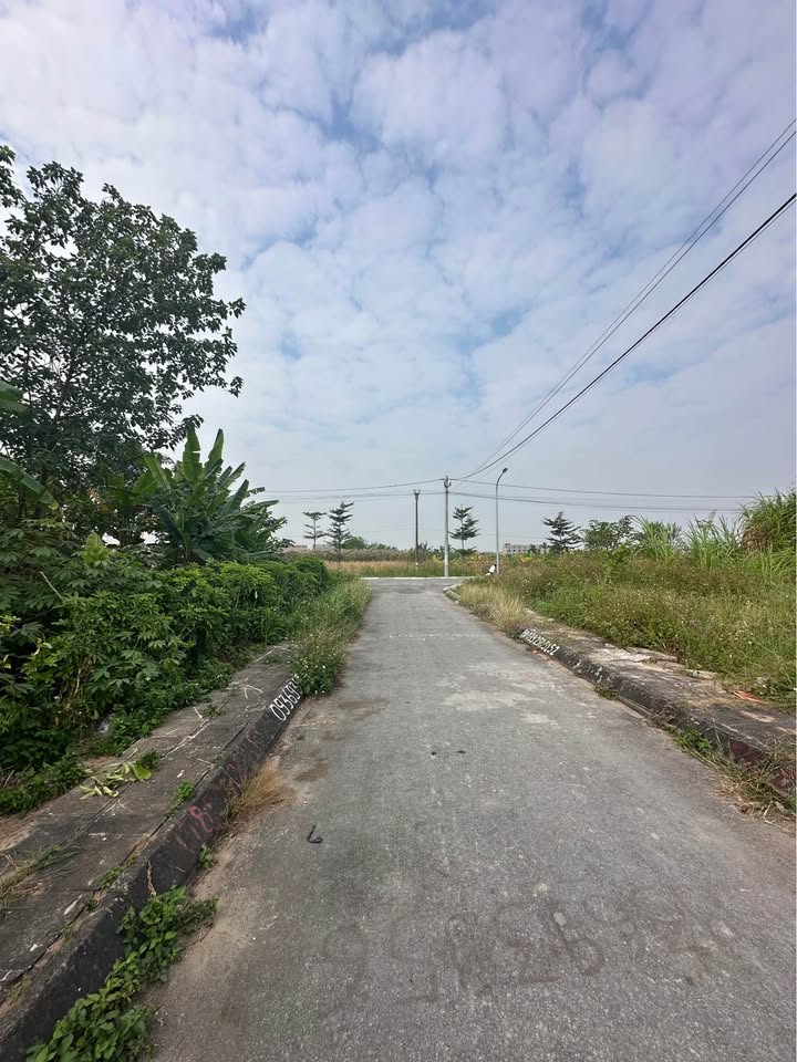 Đất nền An Đồng, An Dương 100m² giá 2.9 tỷ - Gần mặt đường nhựa