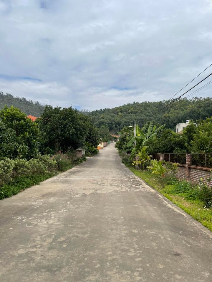 Đất nghỉ dưỡng Văn An Chí Linh 1000m² - Đầu tư lý tưởng cho biệt thự!