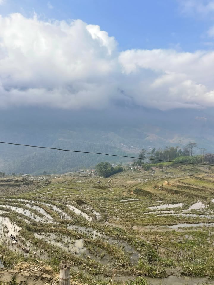 Đất thổ cư Tả Van, Sa Pa 635,5m² giá 5 tỷ - Cơ hội đầu tư tuyệt vời!