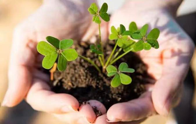 Đất nền Phú Thượng Tây Hồ 92m² giá 15.6 tỷ - Đầu tư sinh lời lý tưởng!