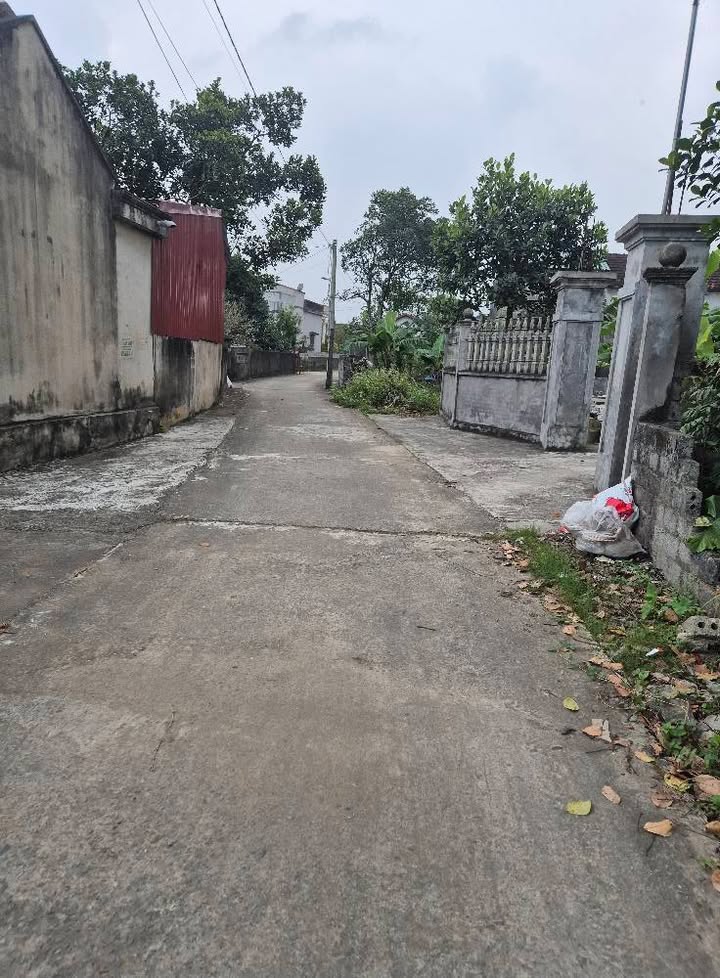 Đất nền Nho Quan, Quỳnh Lưu 270m² - Vị trí đắc địa, giao thông thuận lợi!