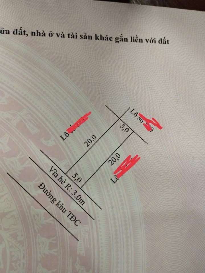 Đất nền Tái định cư Tân Viên An Lão 100m² - Cơ hội đầu tư hấp dẫn!