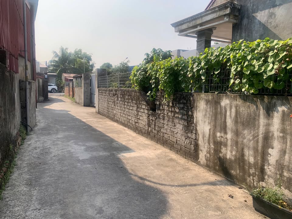 Đất nền Quốc Tuấn An Lão 100m² giá 1.1 tỷ - Sát trường chợ, tiện ích đầy đủ!