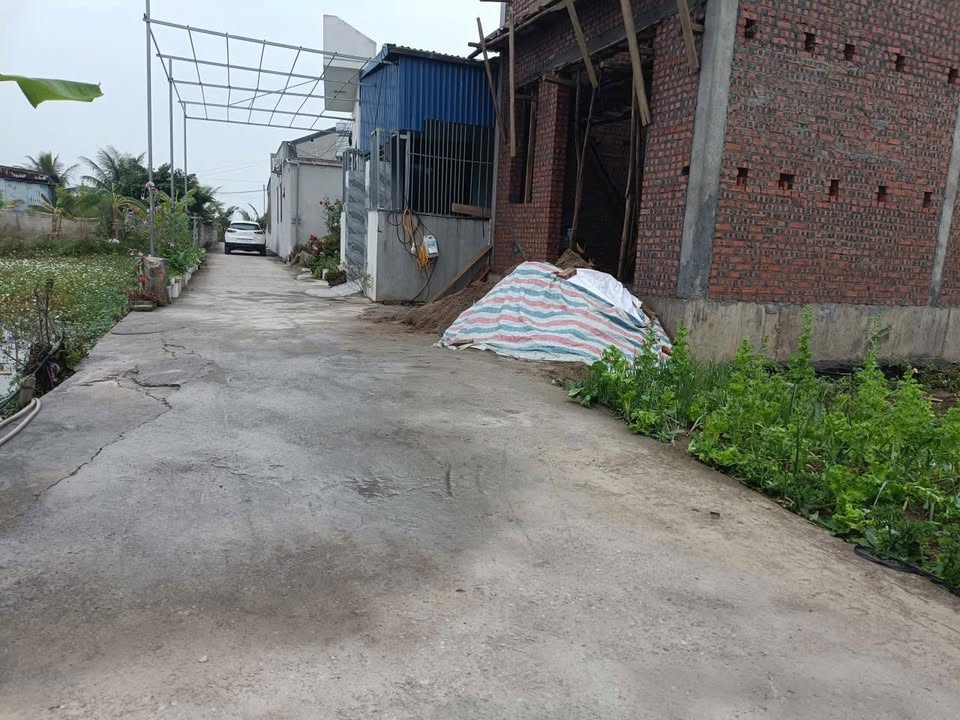Đất nền An Quang, An Lão, Hải Phòng 64m² giá chỉ 500 triệu - Ô tô vào tận đất!