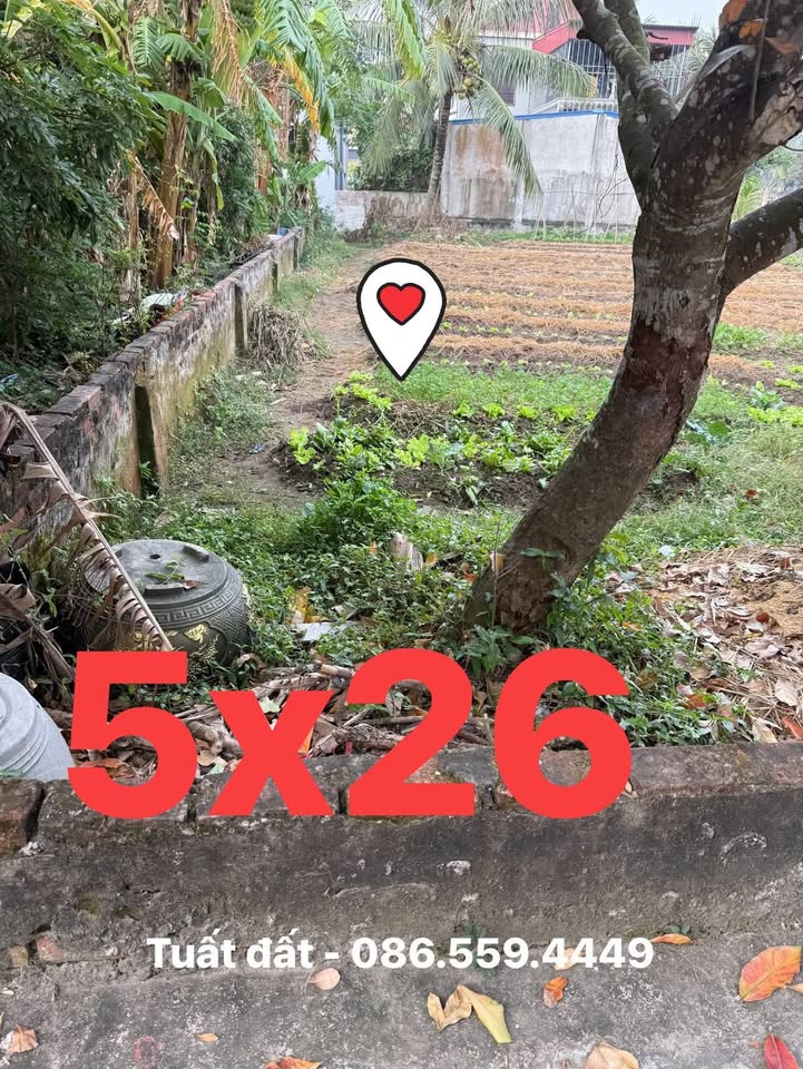 Đất nền Tiên Minh 130m² giá 700 triệu - Vị trí đắc địa, thuận tiện di chuyển!