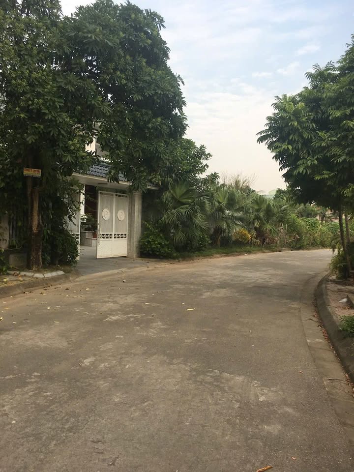 Biệt thự sang trọng 500m² tại khu PG An Đồng - Giá chỉ 30 tỷ, nội thất cao cấp!