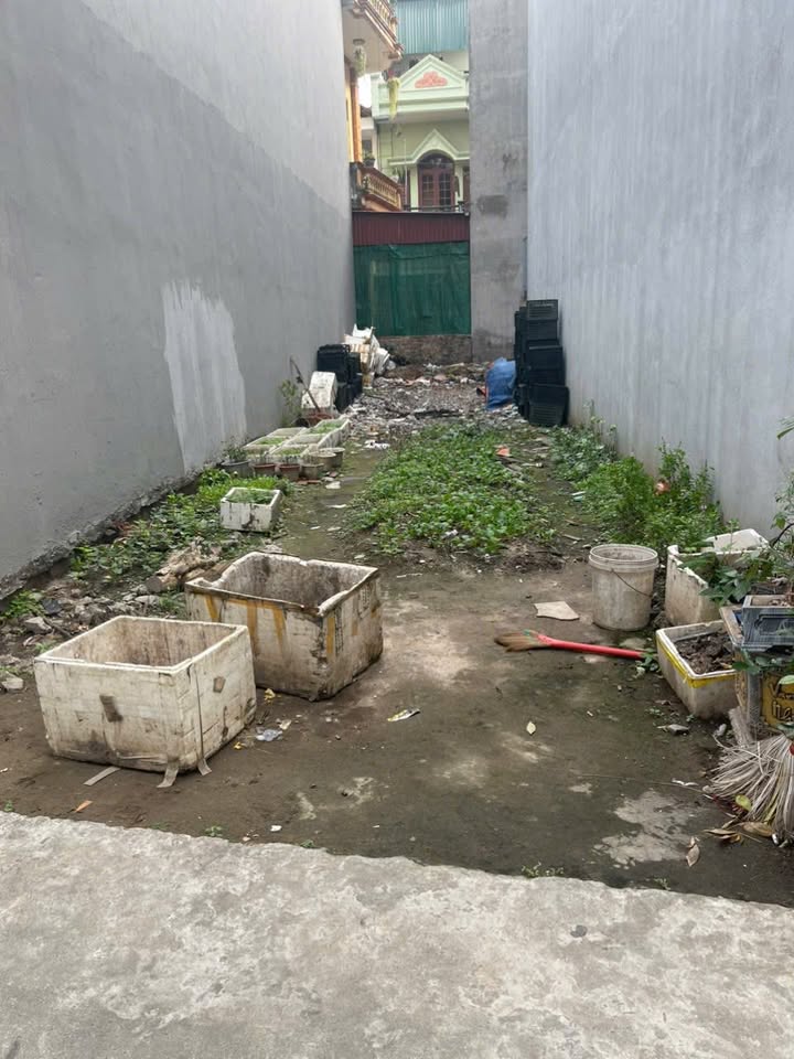 Đất chính chủ ngõ phố Bình Lộc Tân Bình 65.2m² giá 2 tỷ - Vị trí đắc địa, ô tô vào tận nơi!