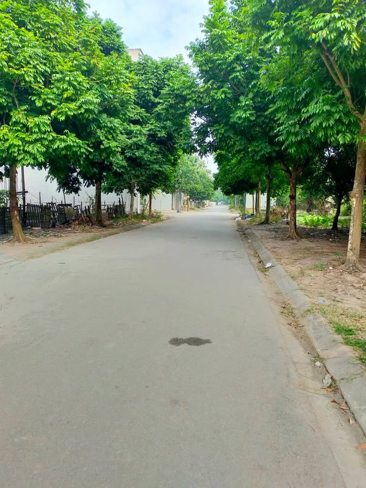 Đất tái định cư Ngọc Châu, 72m² giá 3.3 tỷ - Cơ hội đầu tư hấp dẫn!