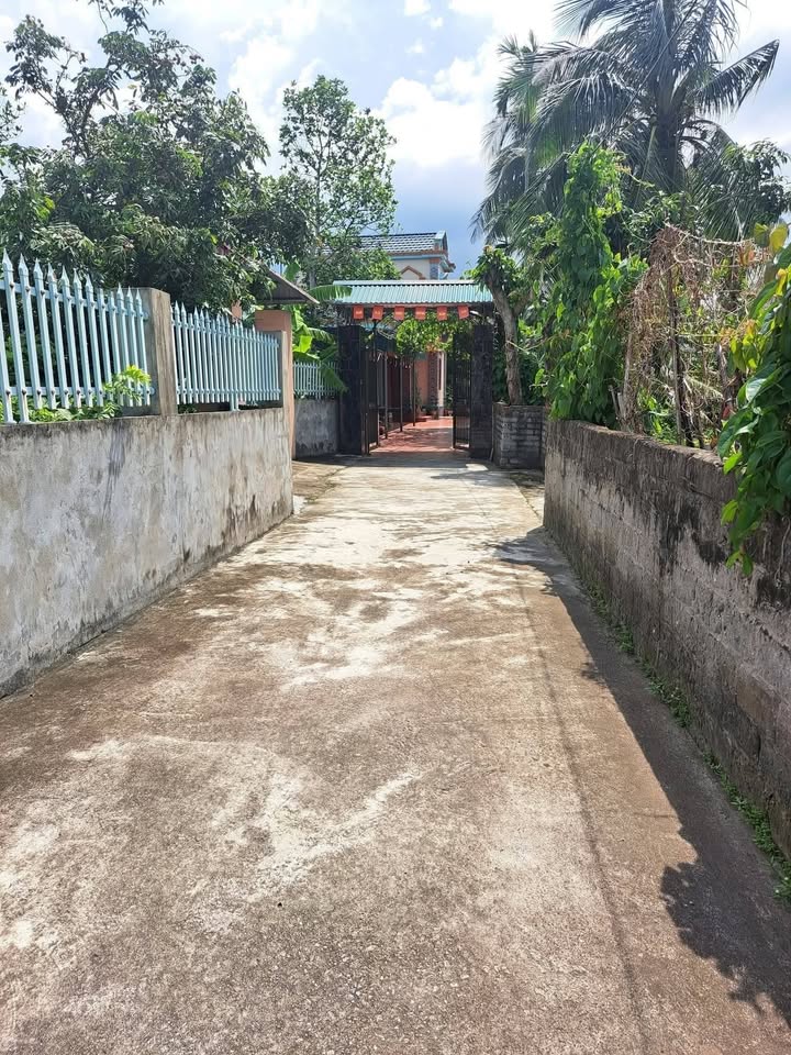 Đất nền xã Quang Trung, Tứ Kỳ 91.5m² giá chỉ 5,xx triệu - Ngõ ô tô vào thoải mái!