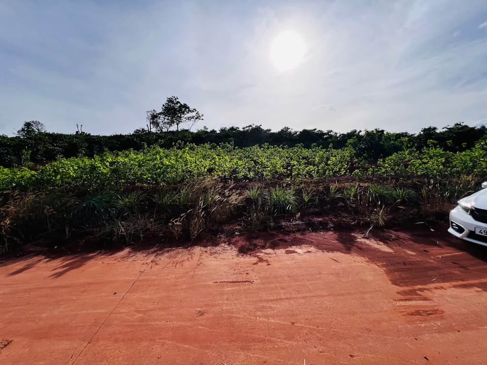 Đất nền Nam Ban Lâm Đồng 549m² giá 1.4 tỷ - View cực đẹp, đầu tư lý tưởng!