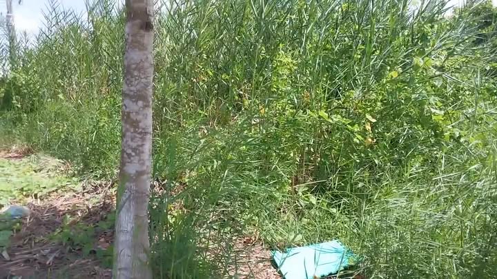 Lô đất đẹp tại phường Long Châu, TP. Vĩnh Long 110m² giá 1.47 tỷ - Sổ hồng chính chủ!