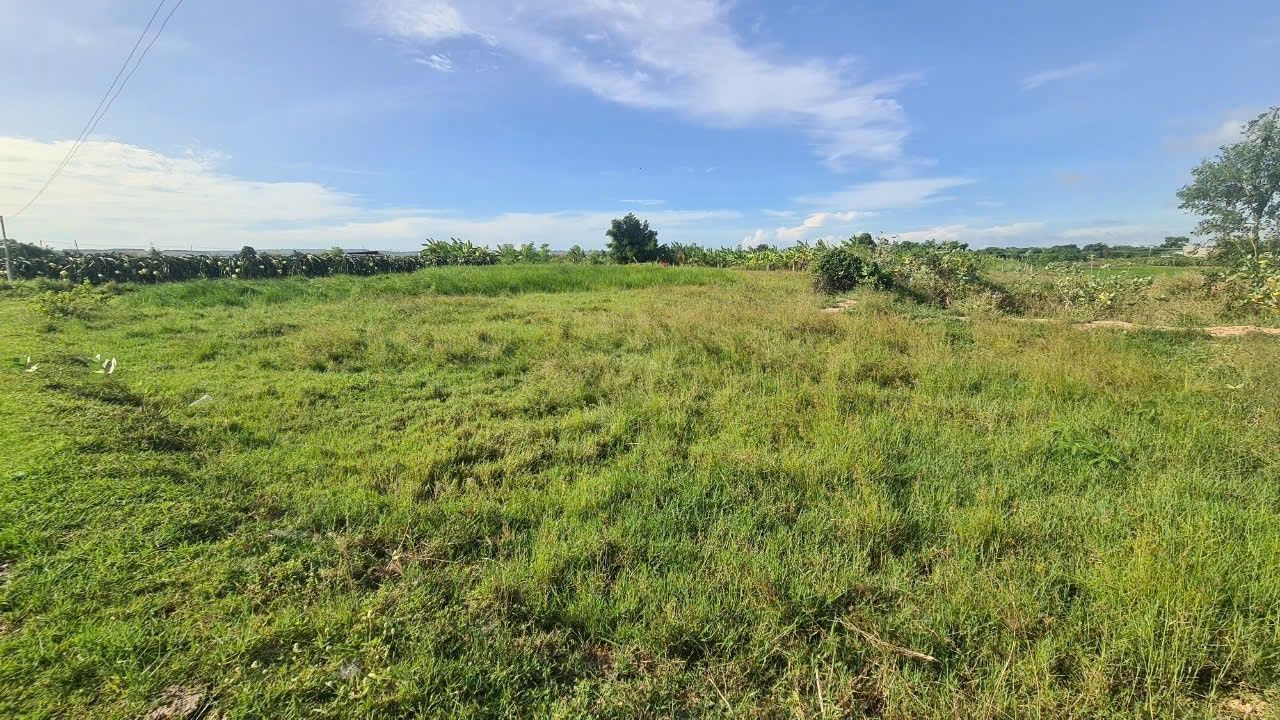 Đất nông nghiệp Kim Ngọc, Hàm Thắng 8000m² giá 2.8 tỷ - Cơ hội đầu tư hấp dẫn!