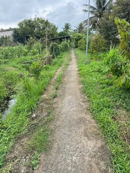 Đất vườn 2272m² xã Hòa Nghĩa Chợ Lách - Giá chỉ 1.5 tỷ, đầu tư ngay!