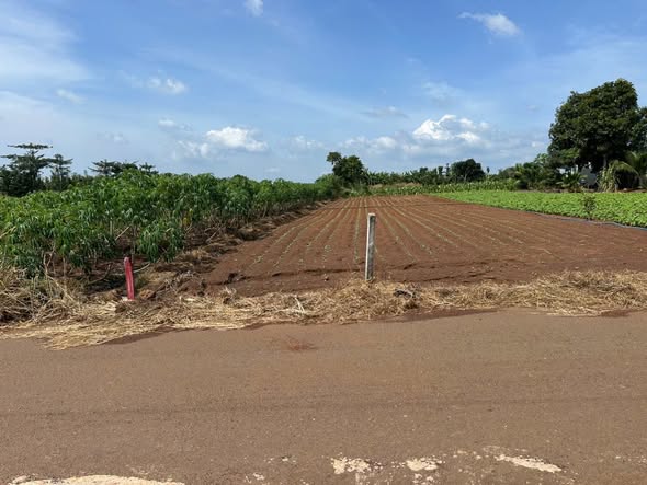 Đất thổ cư Nghĩa Thành, Châu Đức 557m² giá 1.25 tỷ - View núi tuyệt đẹp!