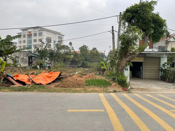 Đất nền Khu phố Sỹ Tân, phường Quỳnh Dị, Hoàng Mai, 221.57m² - Kinh doanh lý tưởng!