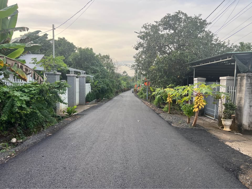 Đất sổ hồng chính chủ tại ấp Bình Mỹ, xã Ngãi Giao, 320m² giá 1.4 tỷ - Đầu tư sinh lời ngay!