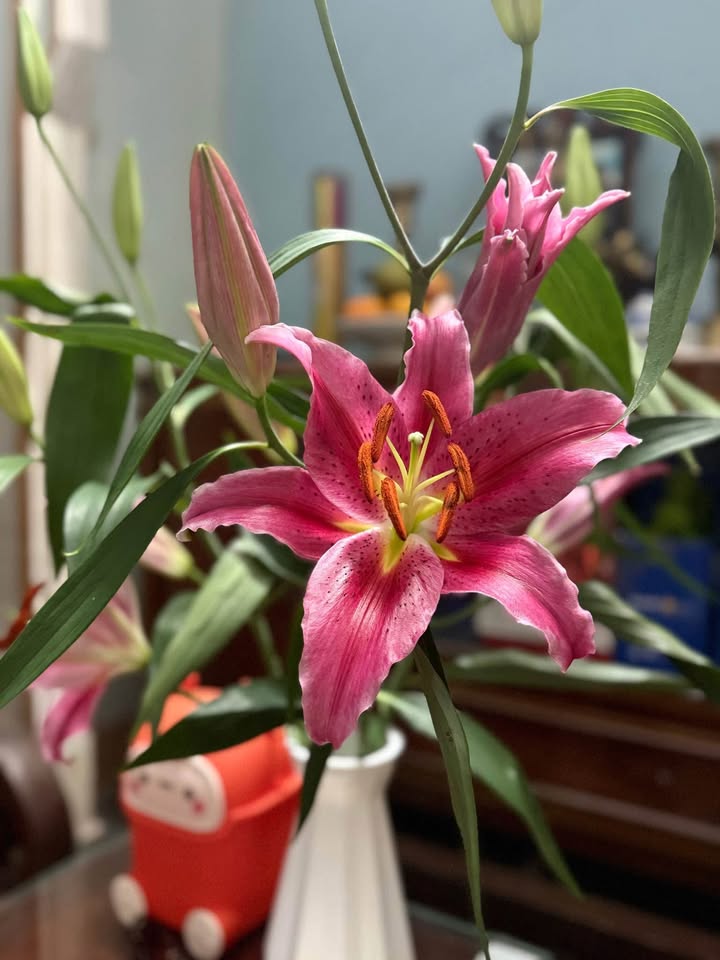 Đất nền xã Đức Phú 100m² giá thỏa thuận - Hậu nở, gần trường học!