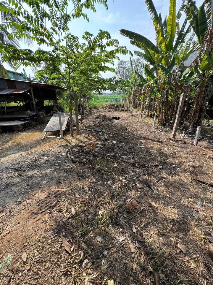 Đất nền 158m² tại ấp Tân Hậu, xã Tân An, An Giang - Giá thương lượng chính chủ!