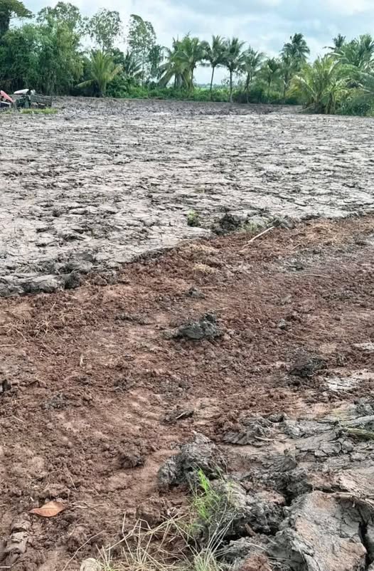 Đất nền ấp Bưng Chông, Tài Văn 175m² giá 180 triệu - Nền cao ráo, lộ ô tô