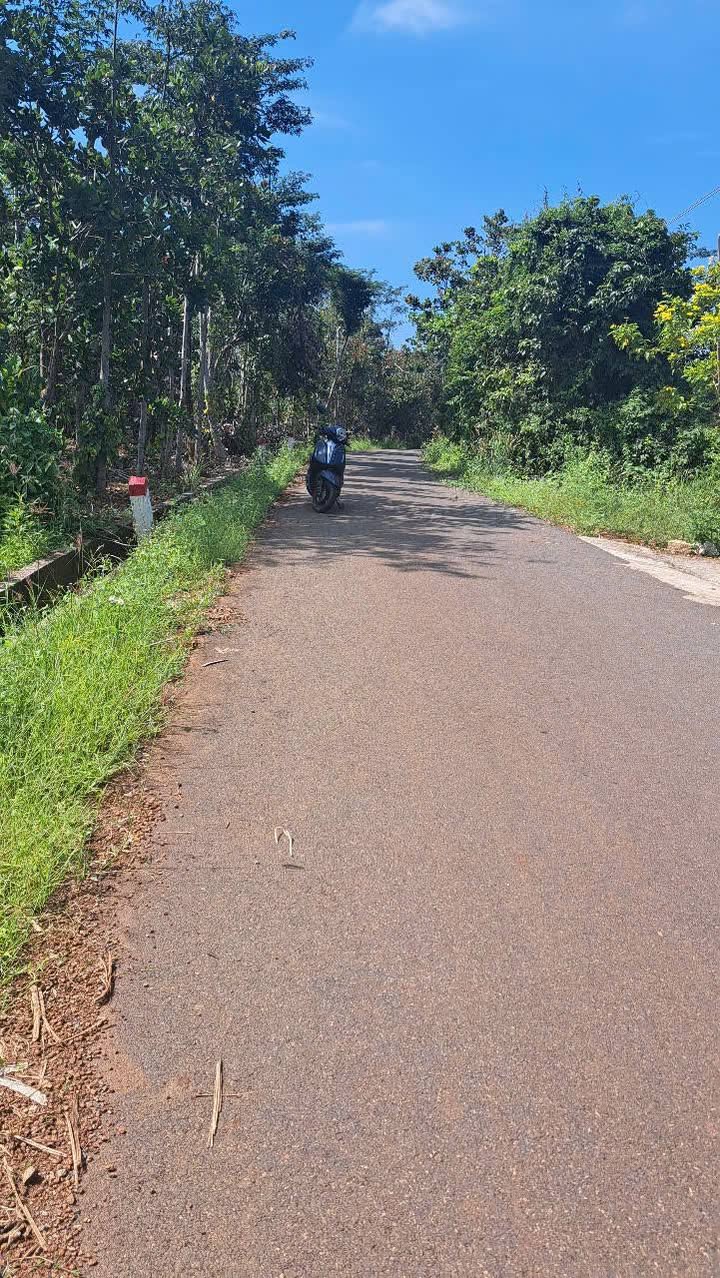 Đất nền Đá Bạc, Châu Đức 195m² giá 595 triệu - Cơ hội đầu tư tuyệt vời!