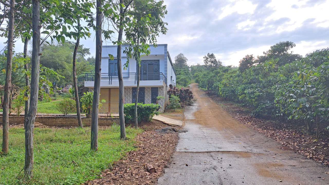 Đất thổ cư Lộc Nga Bảo Lộc 1200m² giá 1.8 tỷ - Cơ hội đầu tư hấp dẫn!