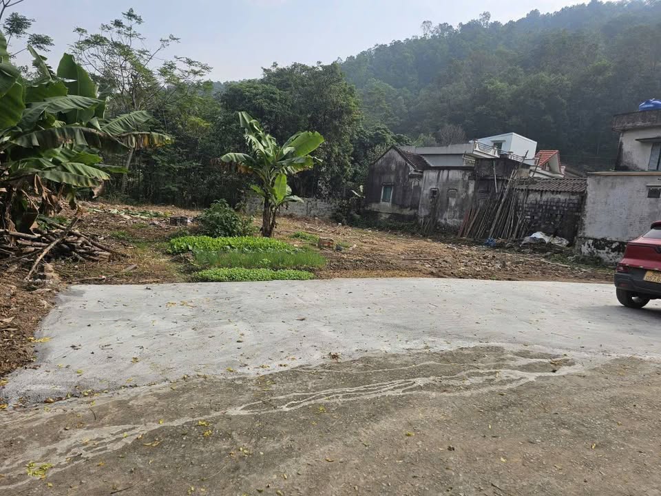 Đất nền An Lão, Bình Lục 97m² giá 300 triệu - Cơ hội đầu tư hấp dẫn!