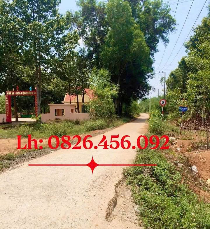 Đất nền Đồng Tâm, Đồng Phú, Bình Phước 1000m² - Giá tốt thỏa thuận!