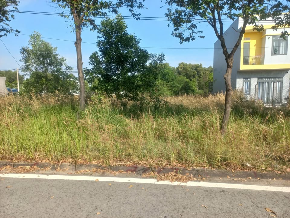 Đất nền thổ cư 150m² đường N1, Thới Hoà - Giá chỉ 2 tỷ, cơ hội đầu tư tốt!