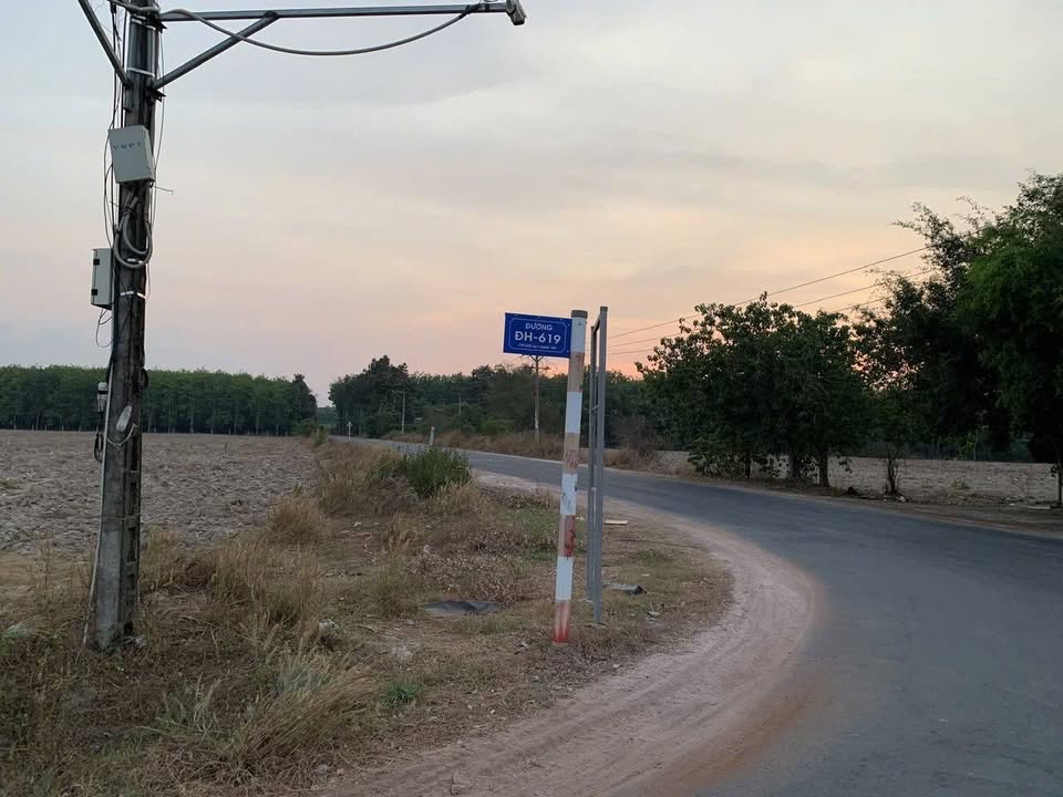 Đất nền Bàu Bàng 3600m² giá chỉ 5xx triệu - Cơ hội đầu tư lý tưởng!