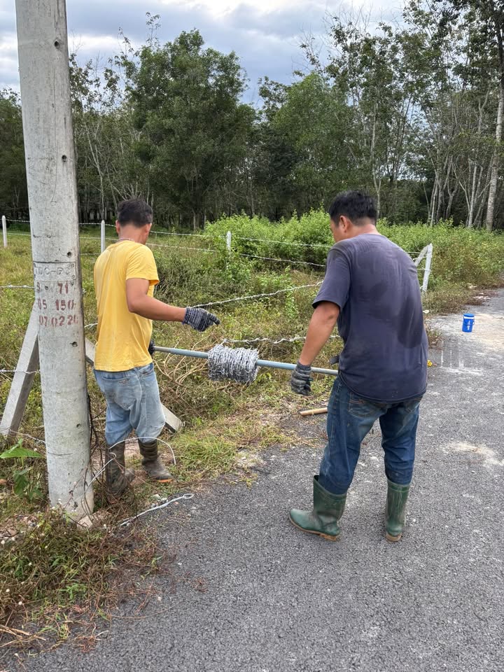 Đất nền mặt tiền đường DH515 Phước Hòa, 2080m², giá chỉ 5 tỷ - Cơ hội đầu tư tuyệt vời!