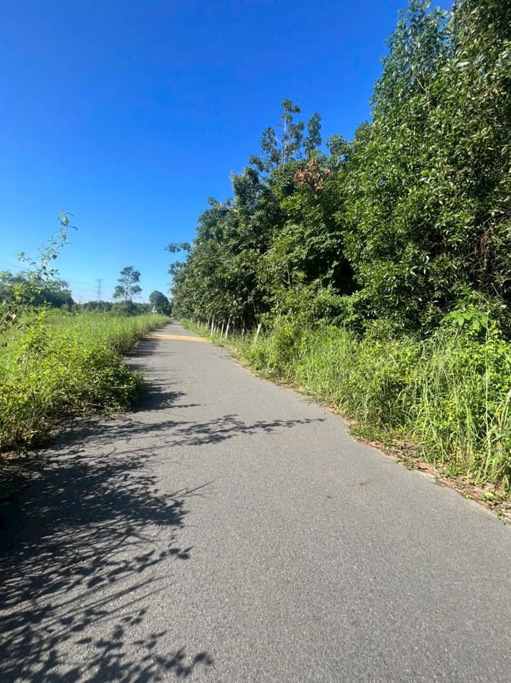 Đất nền Phú An Bến Cát 7406m² giá chỉ 2.2 triệu/m² - Cơ hội đầu tư tuyệt vời!