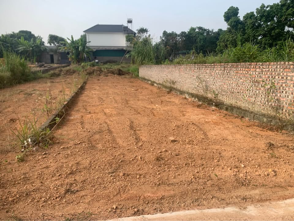 Đất nền Kim Long, Tam Dương 100m² giá chỉ 900 triệu - Đầu tư sinh lời ngay!