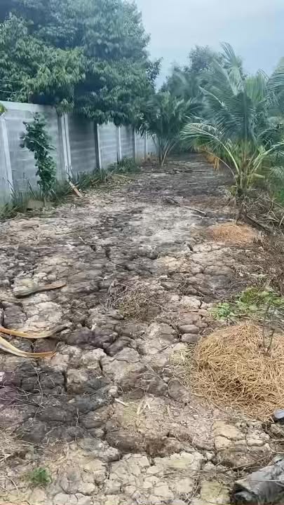 Đất vườn và đất lúa phường Thanh Đức, Vĩnh Long 35.000m² - Cơ hội đầu tư tuyệt vời!