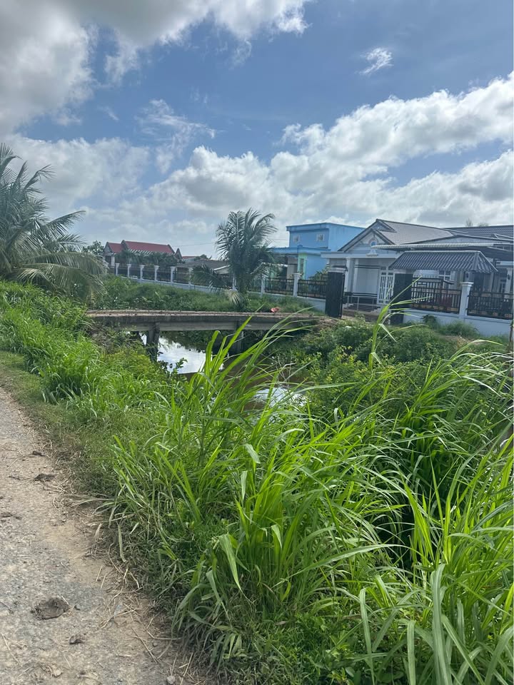 Đất mặt tiền Long Hiệp Trà Cú 5500m² - Cơ hội đầu tư tuyệt vời!