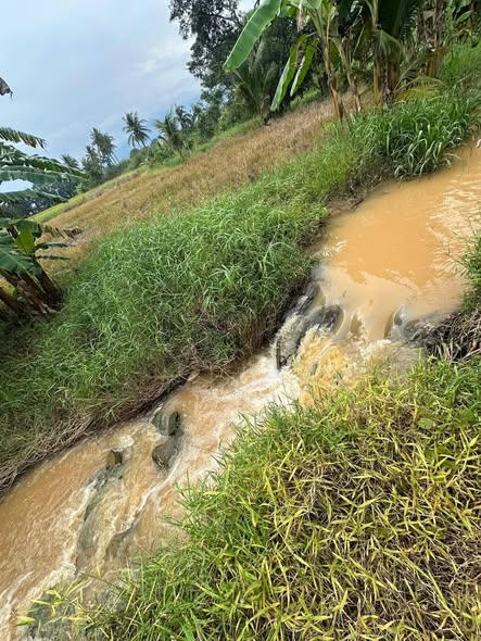 Đất nền 500m² tại khu phố 2, thị trấn Tân Sơn, Ninh Sơn - Chỉ 125 triệu!