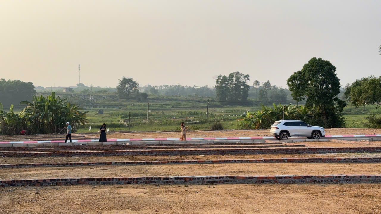 Đất thổ cư 100m² tại Cẩm Lĩnh, Ba Vì giá chỉ 700 triệu - Cơ hội đầu tư hấp dẫn!