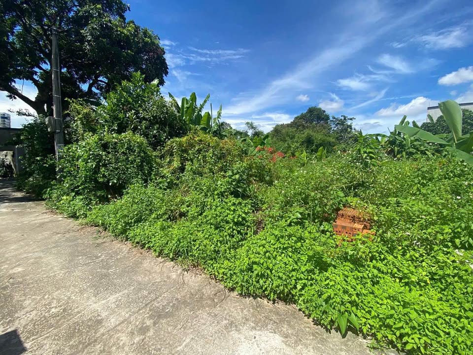 Đất thổ cư Thôn Xuân Đài, Đông Động, 171m² giá mềm - Cơ hội đầu tư tuyệt vời!