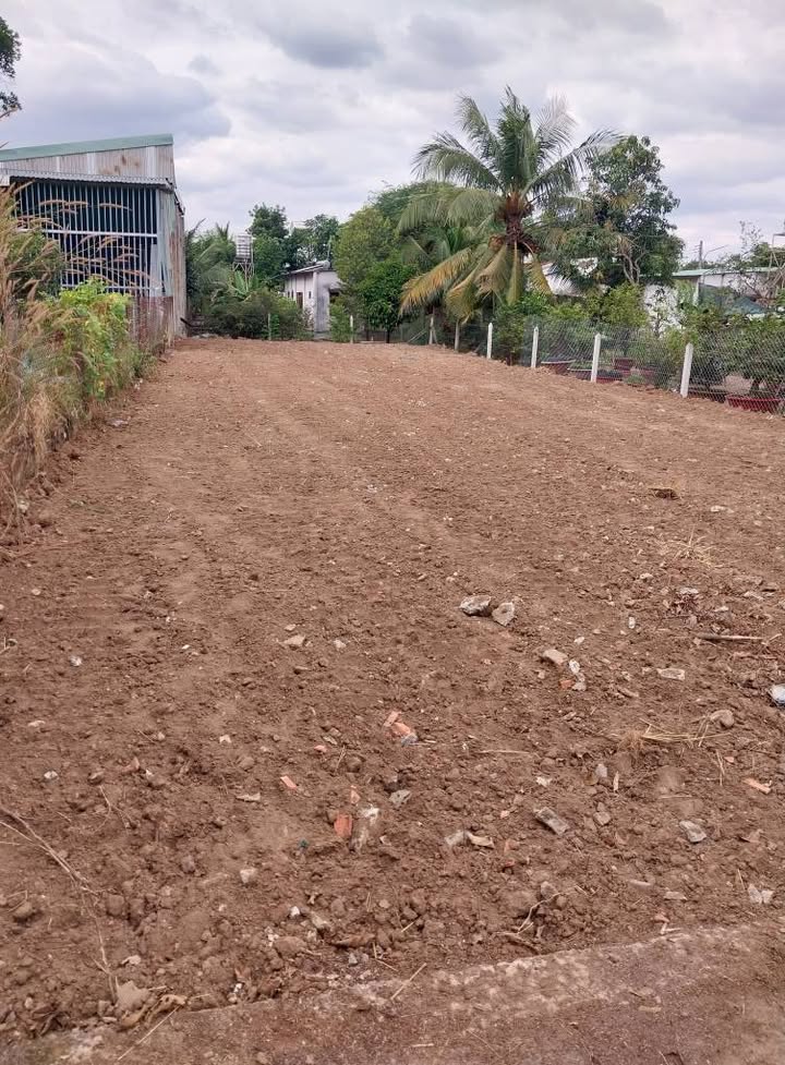 Đất nền Phú An, Bến Cát, 155m² giá 1 tỷ - Đầu tư sinh lời ngay!