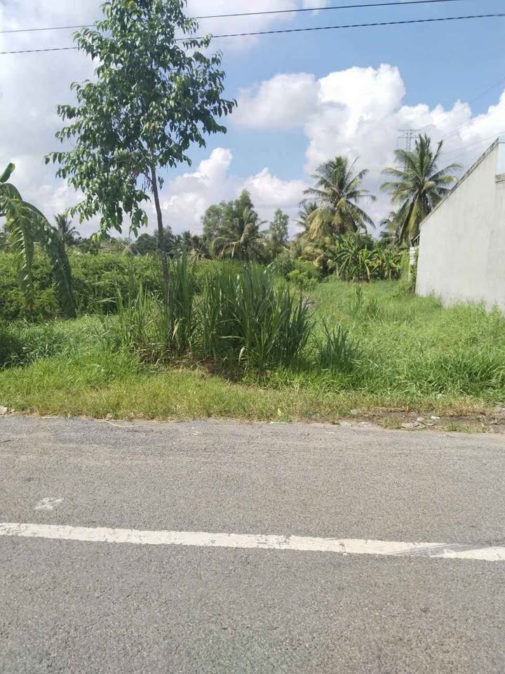 Đất nền mặt tiền huyện lộ 173, Sơn Đông 500m² giá 4.25 tỷ - Đầu tư sinh lời ngay!