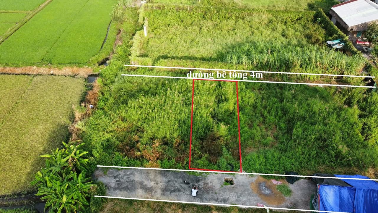 Lô đất nền Bình Mỹ, Củ Chi 89m² giá 1.65 tỷ - Sổ hồng riêng, xây dựng tự do!