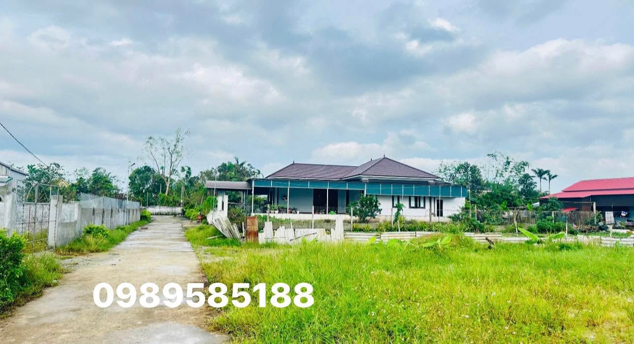 Đất thổ cư xã Cẩm Thăng 200m² giá 900 triệu - Đường thông thoáng, dân cư văn minh!