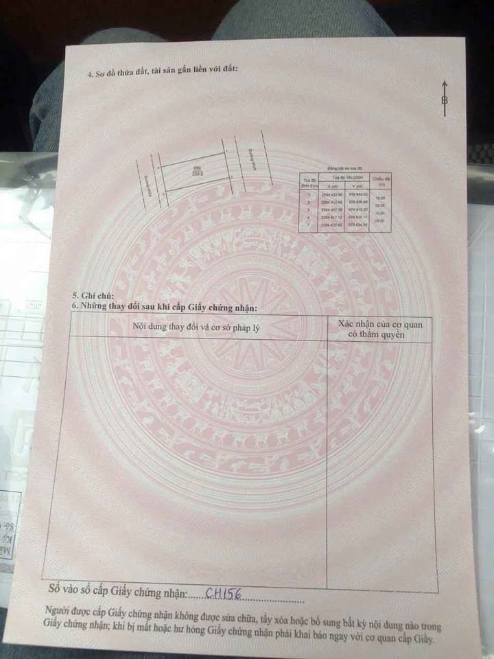 Biệt thự Vân Đình 250m² giá 6.5 tỷ - Chính chủ cần bán gấp!