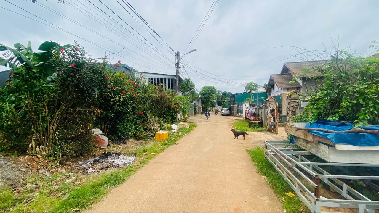 Đất nền hẻm 138 Y Wang, Ea Kao, Đắk Lắk 153m² giá 1.99 tỷ - Vị trí thuận lợi gần Đại học Tây Nguyên!